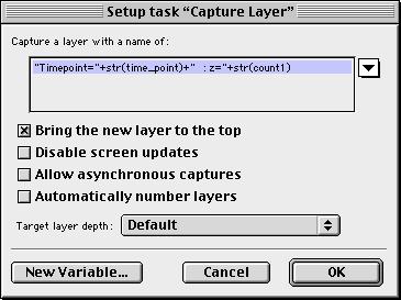 TASK SETUP DIALOGS The Capture layer task captures the layer and uses the