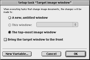 The Target Image Window task