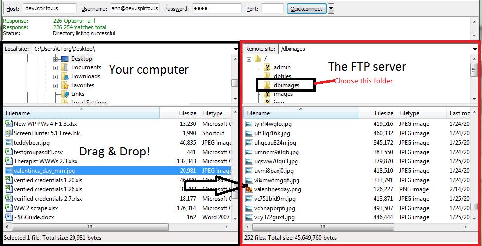 On the left side, the one that shows your computer, find the folder the images you have entered are in. They should appear in the bottom section, where it says "Drag & Drop!