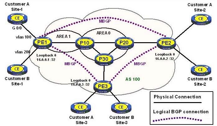 QUESTION NO: 1 A provider of MPLS services configures MPLS Layer-3 VPN services for two customers. Each customer has three branch offices that will be interconnected.