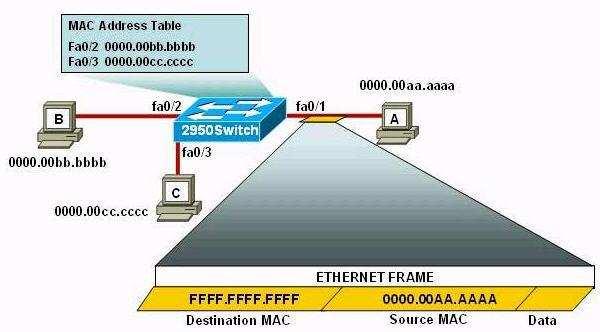 The Ethernet frame that is shown arrives on interface fa0/1. What two functions will occur when this frame is received by 2950Switch? (Choose two) A.