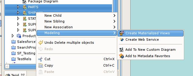 Chapter 5. Metadata-specific... Designer includes a feature to assist in quickly creating materialized relational tables based on your existing view tables.