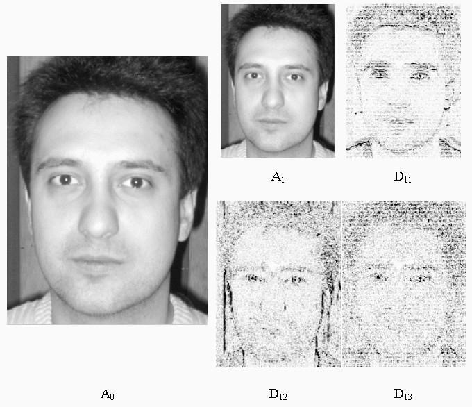 The effect of use 2D WT on real image of face shown on Fig.2. The size of output images is the same as the input image. It is result of down sampling that is rejection of every second row and column.
