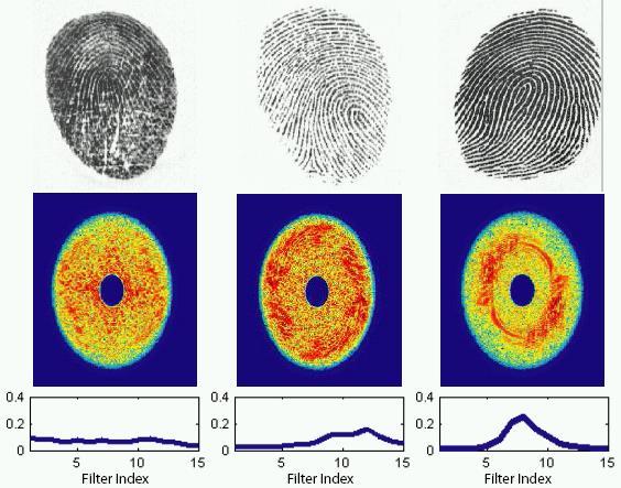 Automatic Fingerprint Quality Assessment Based on global features: A global measure of quality is