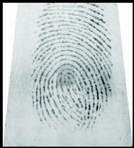 FVC2004: Data Fingerprint data: 100 fingers x 8 impressions x 4 sensors