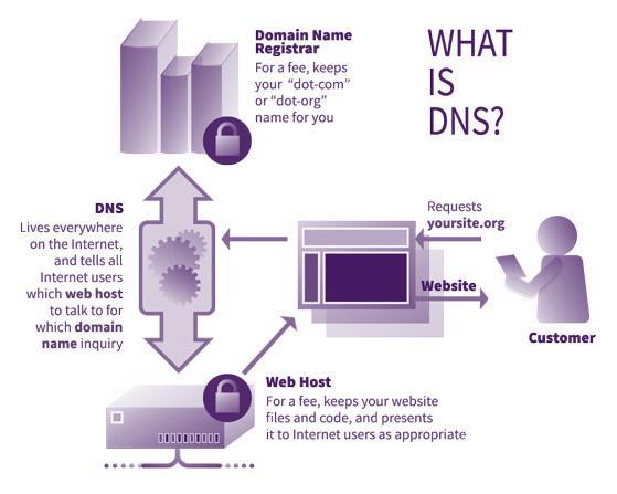 Primary DNS Risks 01 APTs 02 03 Botnet Malware DNS