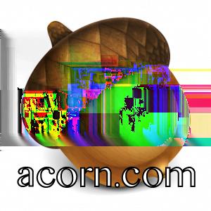 ACORN.COM CS 1110 SPRING 2012: ASSIGNMENT A1 Due to CMS by Tuesday, February 14. Social networking has caused a return of the dot-com madness.