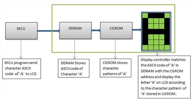 The Display Data RAM (DDRAM) stores the ASCII code of a character which is sent by the microcontroller.