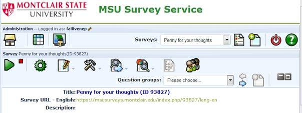 3) For additional survey creation settings, click on the other tabs.