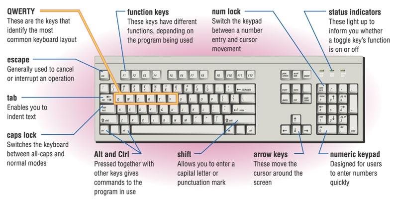 Keyboard ü The keyboard allows the computer user to enter words, numbers, punctuation,