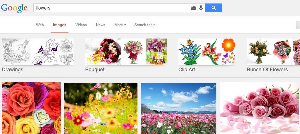 To get images for your website, in a new tab, do a search on Google for your topic of choice select the images category to display images only.