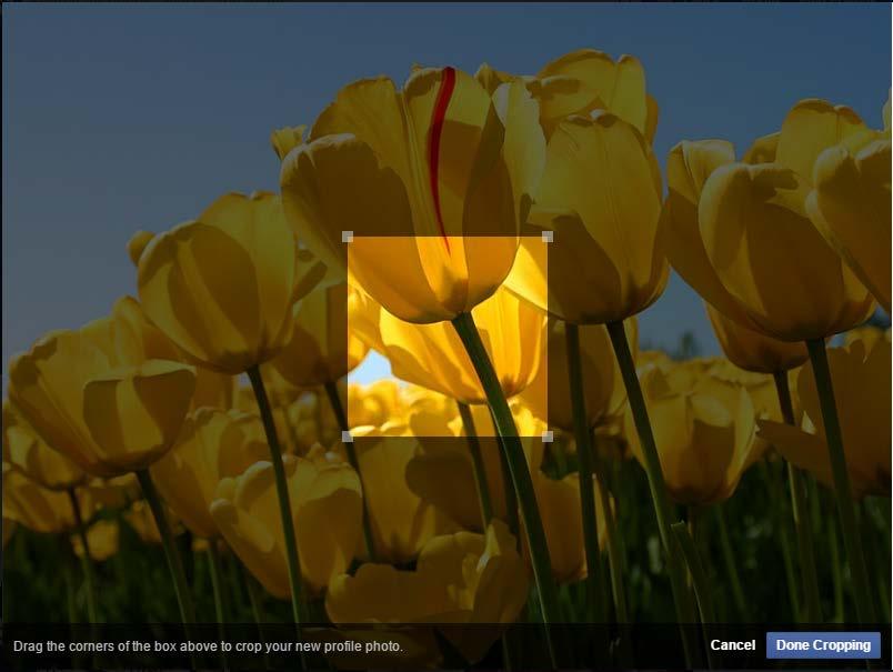 7. Depending on the size of your image, a window may pop up in which you are asked to Drag the corners of the box above to crop your new profile photo.