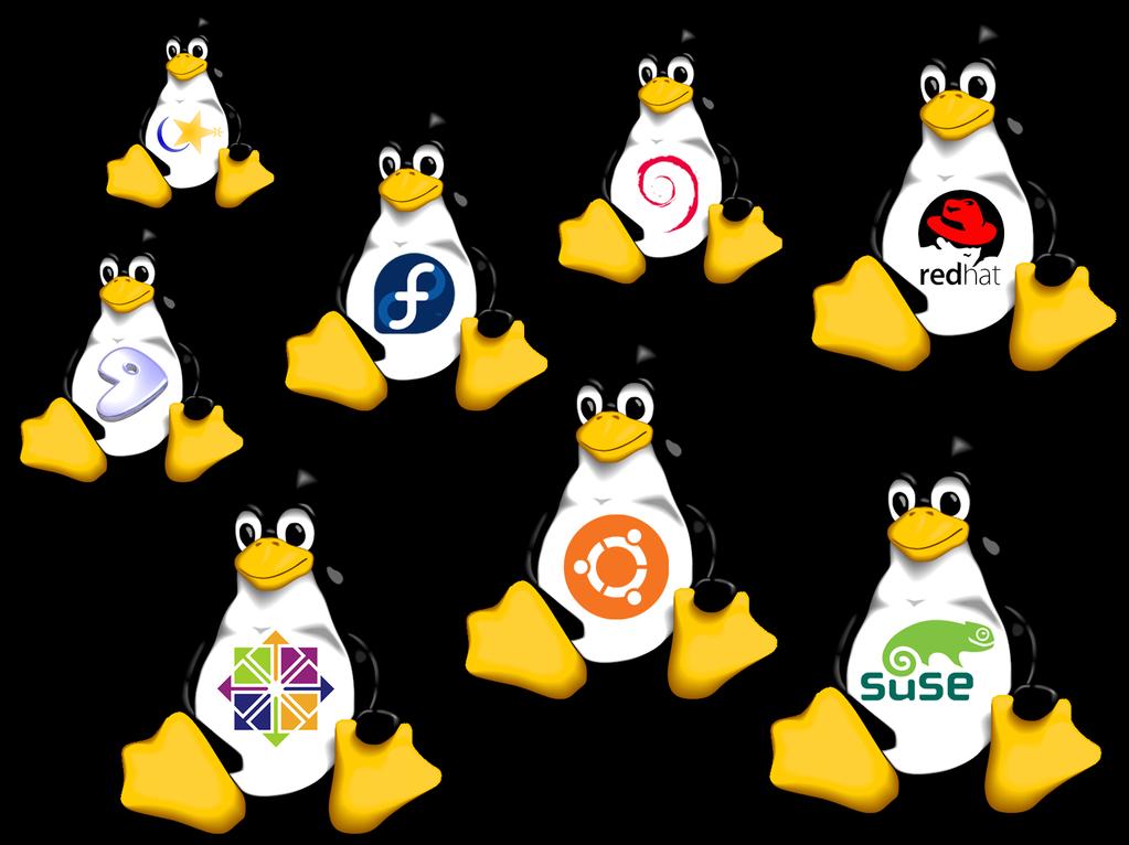 Linux Distribution Ubuntu