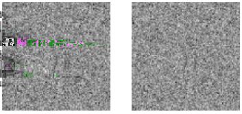 Random dot stereograms You can see objects even when images contain no features.