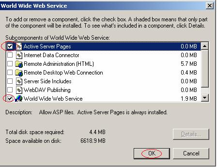 In the World Wide Web Service window, select the Active Server Pages check box and click OK three times to return to the
