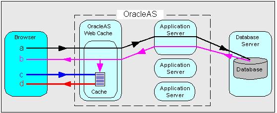 How does OracleAS Web Cache work?