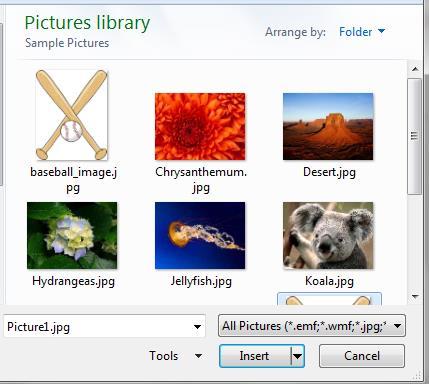Adding Images You may only use images that you have created or have documented permission to use.