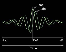 K-space Symmetry During quadrature detection, two signals (real and imaginary) are obtained. These are a cosine and sine signal (Figure 4.3).