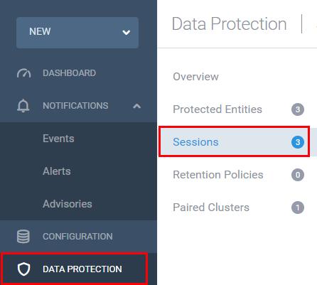 Create Protection Session Summery Tab Viewing a Remote Protection Session s Details You can view a Remote Protection Session s details and perform