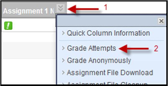 Click View Attempt Review student s submission (attached files) under Review Current Attempt section.