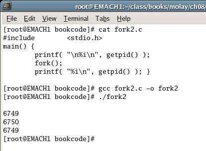 fork - same code, different output process id #
