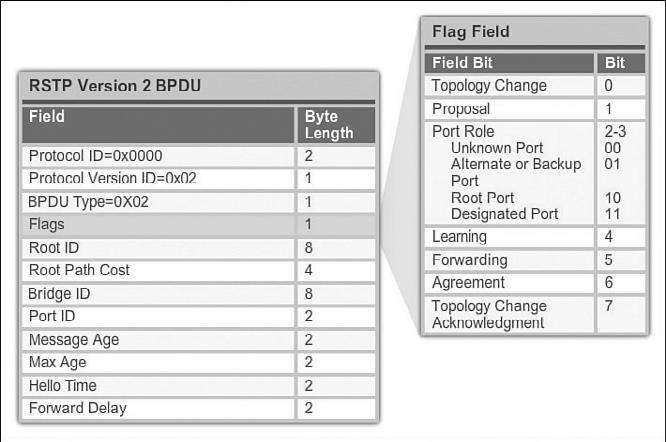 Chapter 2: LAN Redundancy 87 Figure 2-27 RSTP BPDU Edge Ports (2.2.3.3) An RSTP edge port is a switch port that is never intended to be connected to another switch device.