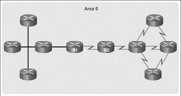 16 Scaling Networks Companion Guide Figure 1-11 Single-Area OSPF OSPF routers establish and maintain neighbor adjacency or adjacencies with other connected OSPF routers.