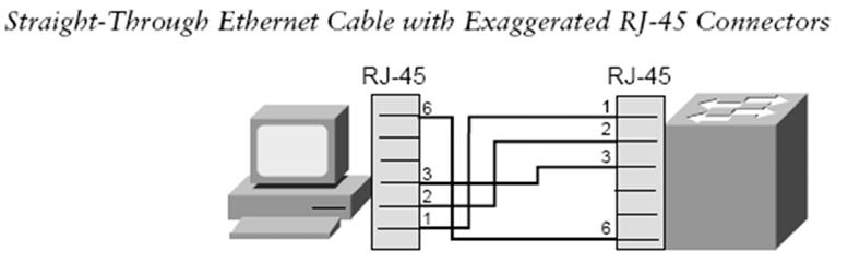 10BASE T Ethernet (4) Topology: Physically hub creates star network (hub is the core of network), but logically it s still a bus network.