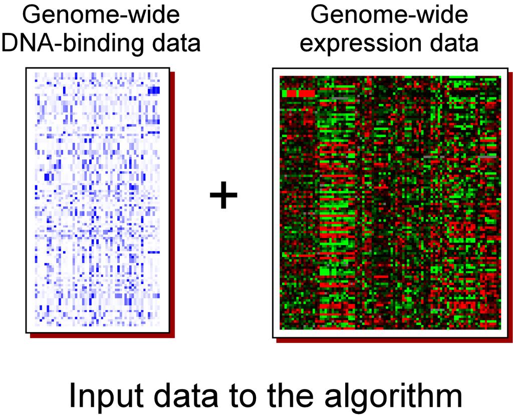 Genome wide binding experiments (transcription factors) no binding by