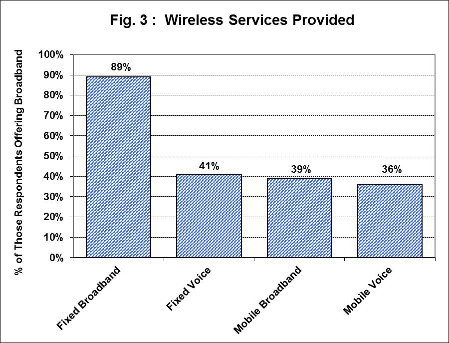 Fifty percent of survey respondents are offering some type of wireless services to their customers.