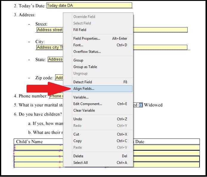 a. In the column under Child s Names click on the first field box that you created. Hold down the shift key and click on the other 3 boxes in that column. Right click. A pop up box will appear.