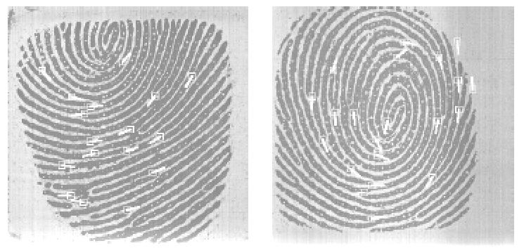 75 Figure 4.1: Fingerprint verification: Multiple impressions of the same finger are stored in the database as templates.