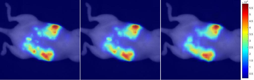 IV. Results and comparisons IV.1 Simulations on real images Bioluminescence image of a mouse over the ambient light image (images provided by V. Josserand et J.L.