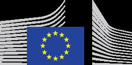 European Commission - Fact Sheet Directive on Security of Network and Information Systems Brussels, 6 July 2016 Questions and Answers The European Parliament's plenary adopted today the Directive on