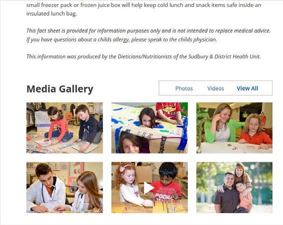 MEDIA GALLERY MEDIA GALLERY This section type allows you to display multiple images and videos, with the functionality of toggling between images and videos.