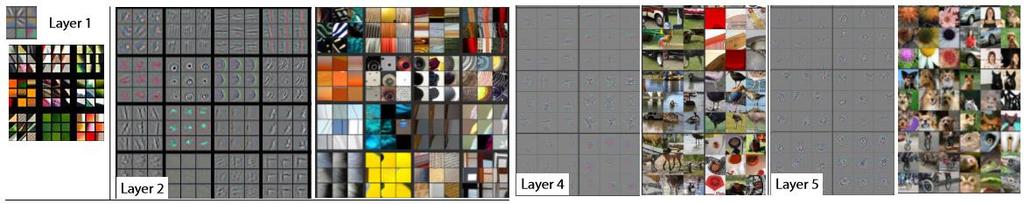 Visualizing Convolutional Networks Filters learn to find features from pictures and each filter activate those pixels that match the shape of the filter Ref:
