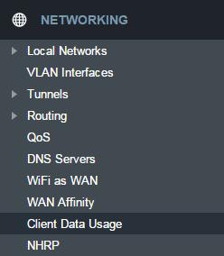 NETWORKING Local Networks VLAN Interfaces Tunnels Routing QoS DNS Servers WiFi as WAN WAN Affinity Client Data Usage NHRP LOCAL NETWORKS WIFI RADIO #1 (2.
