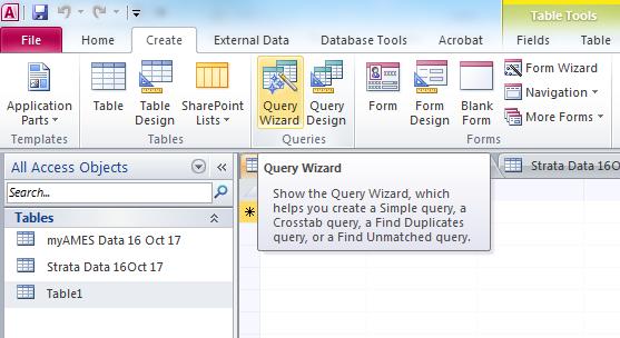 Step 4 - Create a MSAccess Query to