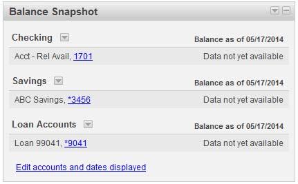 Company users are required to set up the panel with the account they want to view. The Balance Snapshot panel supports an unlimited number of accounts for each account type.