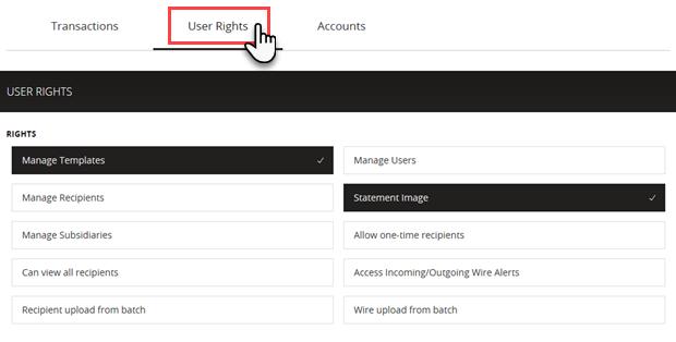 User Roles User Rights 13. Select the User Rights tab to view and modify the non-transactional features.