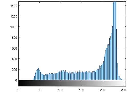 1948 couple.tiff 0.0597 60.3699 cameraman.bmp 0.2474 54.1967 chart.tiff 0.0333 62.9031 (a) Fig. 9. Histogram analisis of couple.