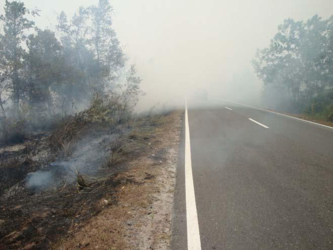 caused by Peatland Fires in Kalimantan, Indonesia in