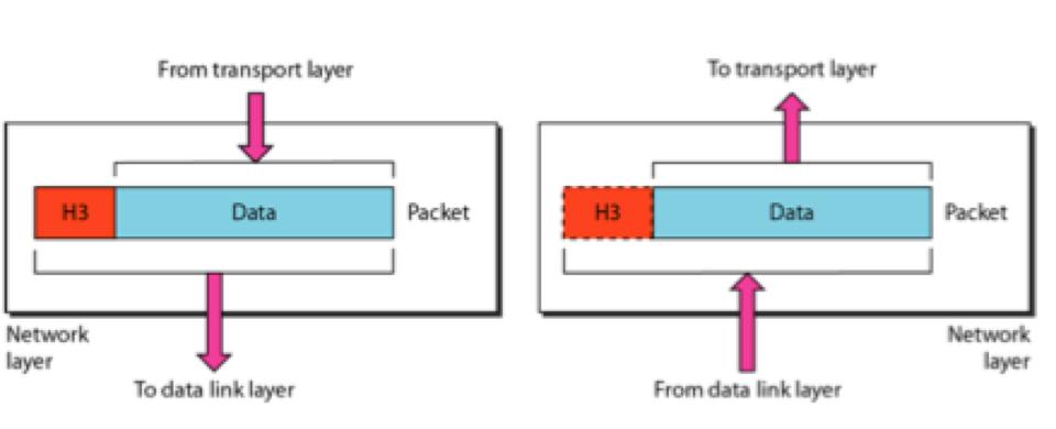 Encapsulation: at the sender device, in each layer, a header or a trailer can be added to the data unit(payload).