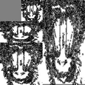 Figure 38: Edge detection criterion: black pixels are textures, grey pixels are edges and white pixels belong to homogeneous reions.