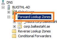 Expand forward lookup zones container.