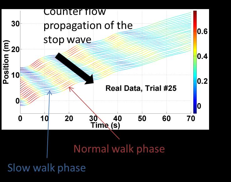 Axis 3 Calibration & Evaluation Timeline 37 2007 Paris et al., Pedestrian reactive navigation for crowd simulation: a predictive approach, Eurographics 2009 Pettré et al.
