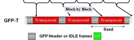 GFP-T is used for FC, Gigabit Ethernet etc. 3.