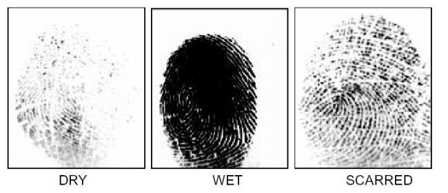 FACTORS AFFECTING ENROLLMENT The quality of a fingerprint image is relative to the number of minutiae points captured.