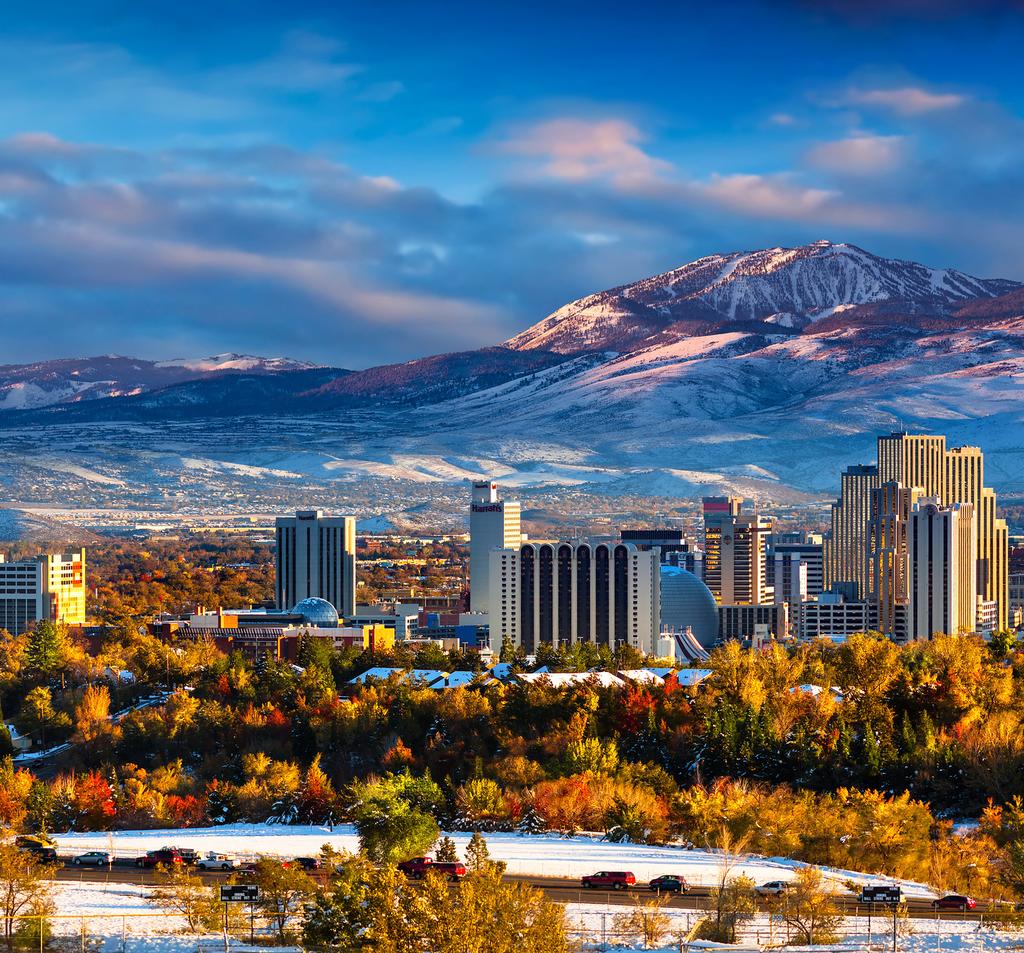 Regional Market Overview The Greater Reno-Tahoe s business and economic climate is experiencing a major boom and the ramifications are far reaching!