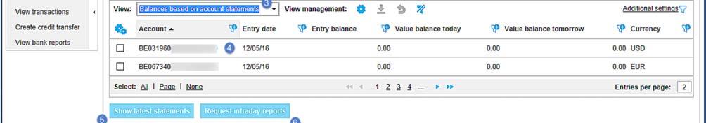 In the View section you can filter to only see certain types of balances. The Balances based on account statements is the default view.